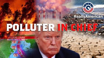 Polluter In Chief Press Release