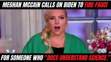 Meghan McCain attacks Fauci