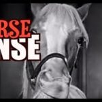 Horse Sense